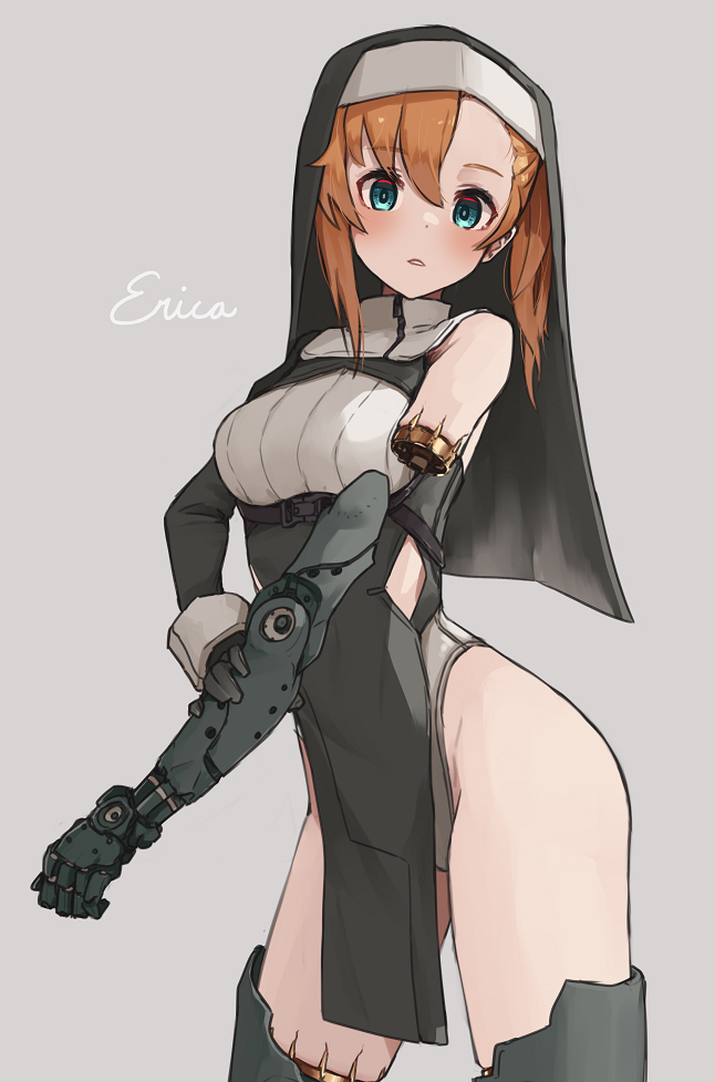 This is a pixiv picture whose title is Erica.