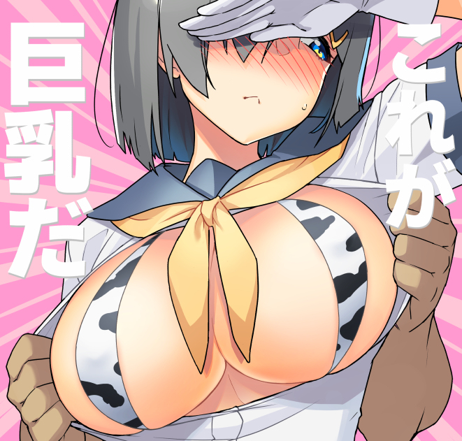 This is a pixiv picture whose title is これが巨乳だ　浜風.