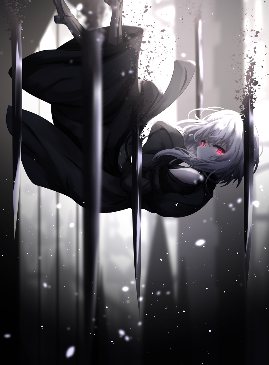 This is a pixiv picture whose title is 白の少女と黒の刃.