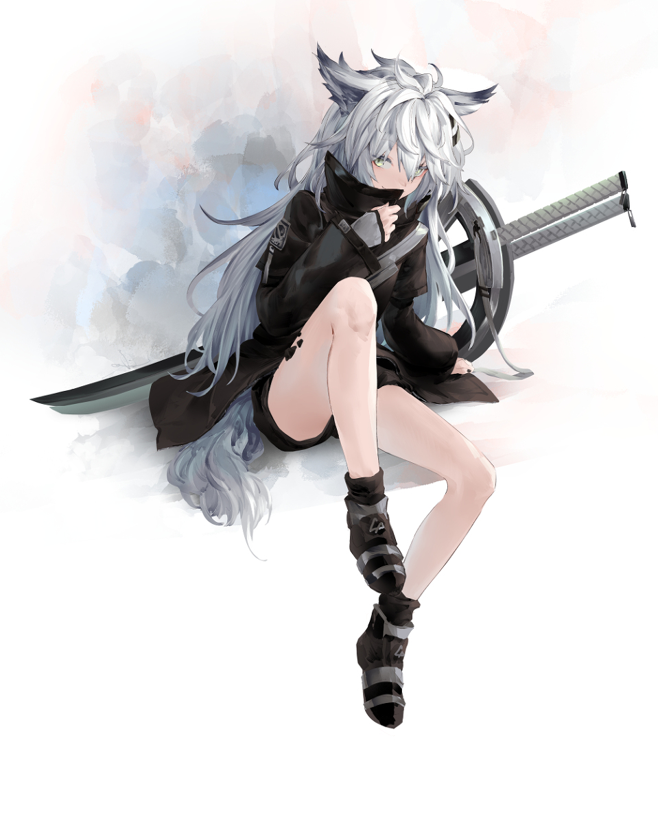 This is a pixiv picture whose title is ラップランド.