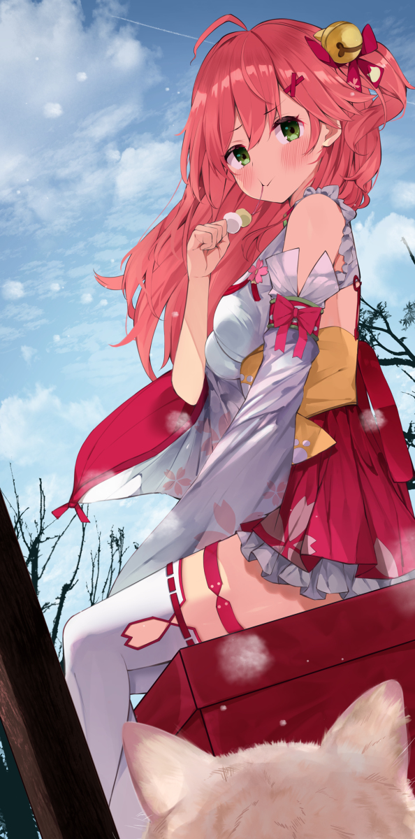 This is a pixiv picture whose title is 🍡.