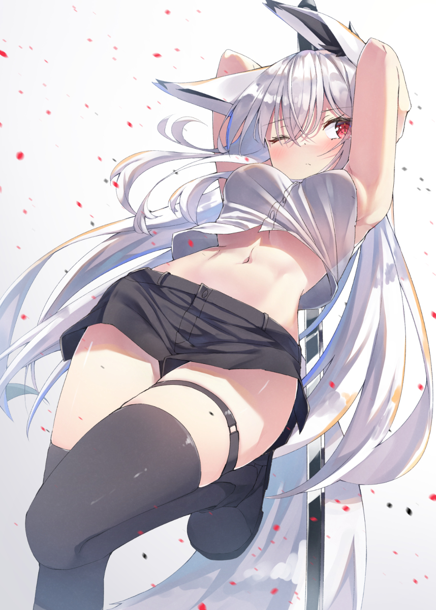 This is a pixiv picture whose title is わきお腹ふとももけもみみ.