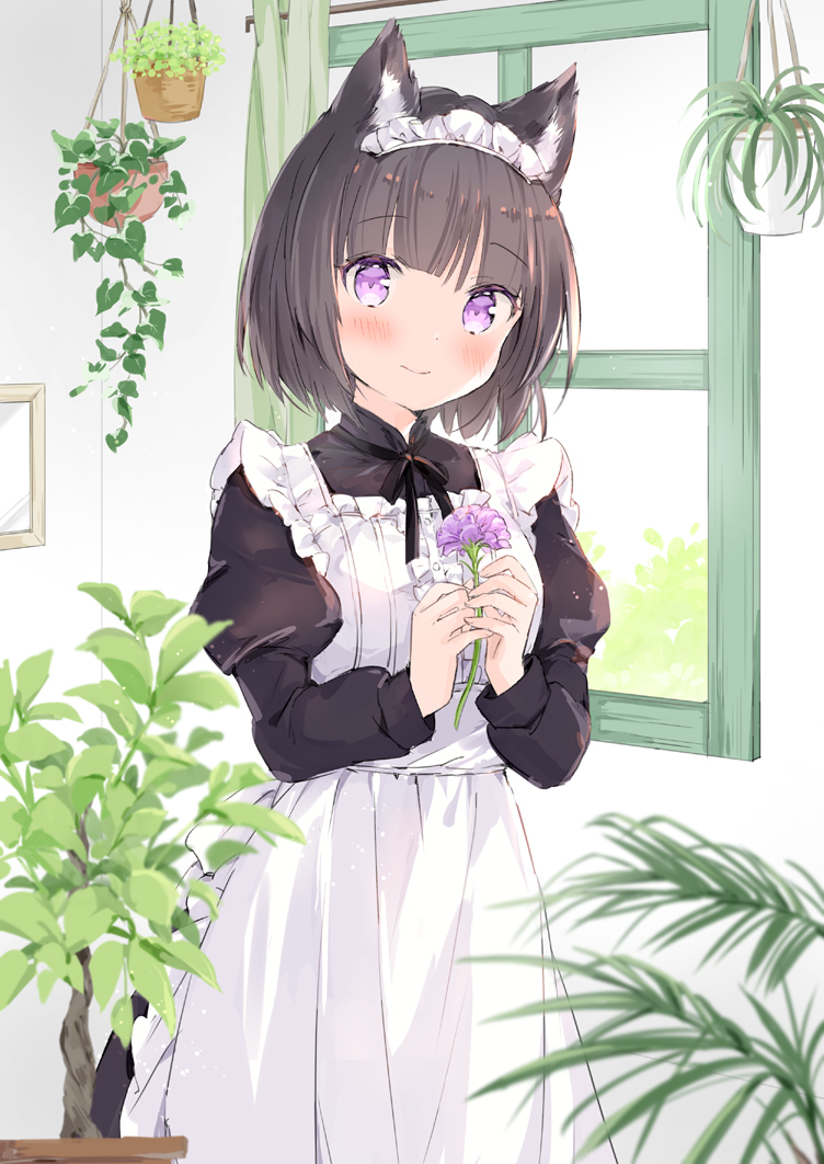 This is a pixiv picture whose title is お部屋.