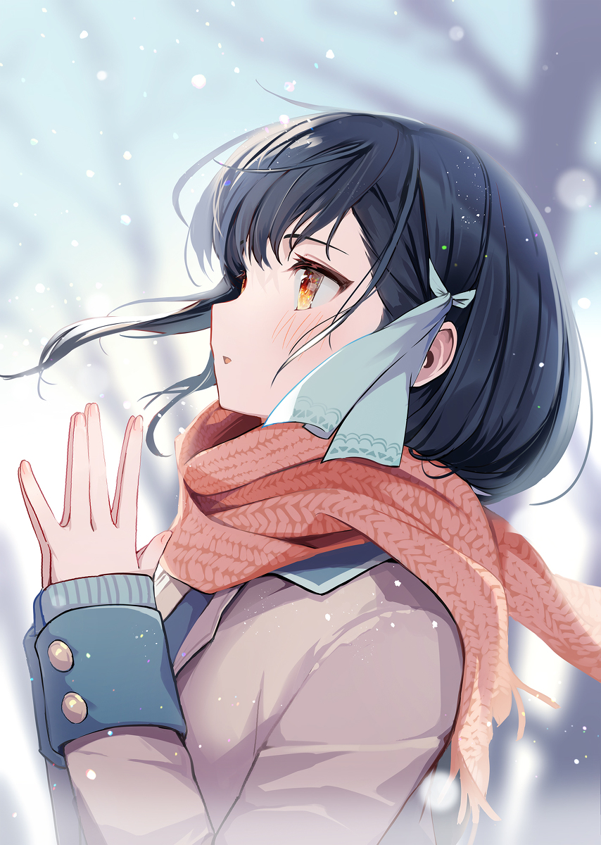 This is a pixiv picture whose title is 雪の華.