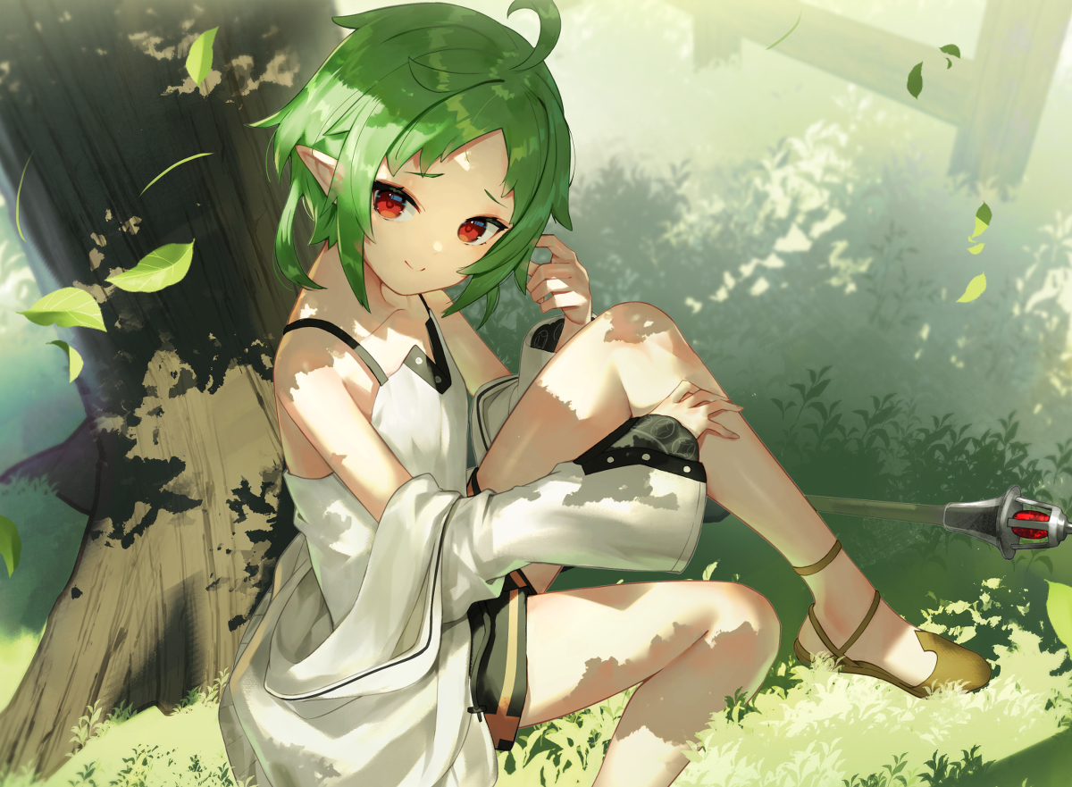This is a pixiv picture whose title is シルフィエット.