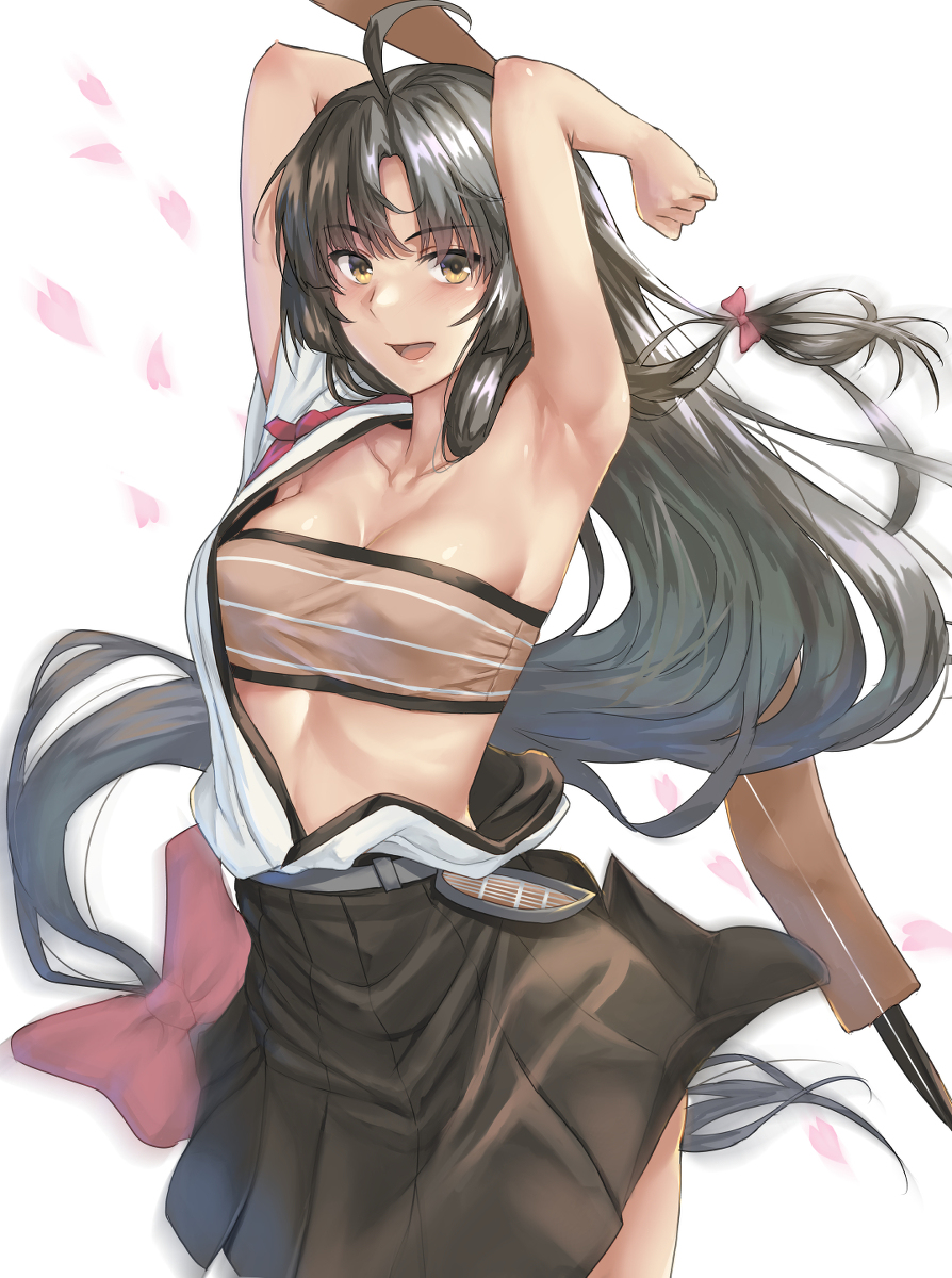 This is a pixiv picture whose title is 祥鳳.