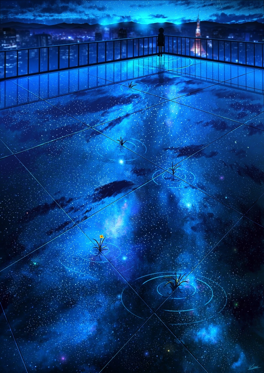 This is a pixiv picture whose title is 屋上の星河.