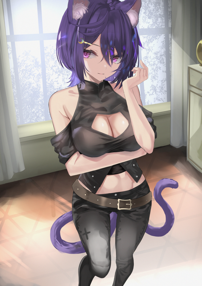 This is a pixiv picture whose title is ねこさん.