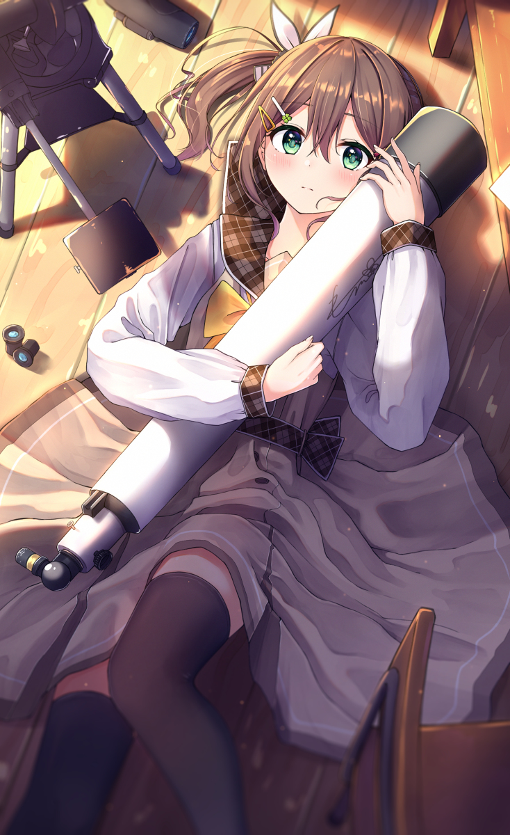 This is a pixiv picture whose title is 🔭.
