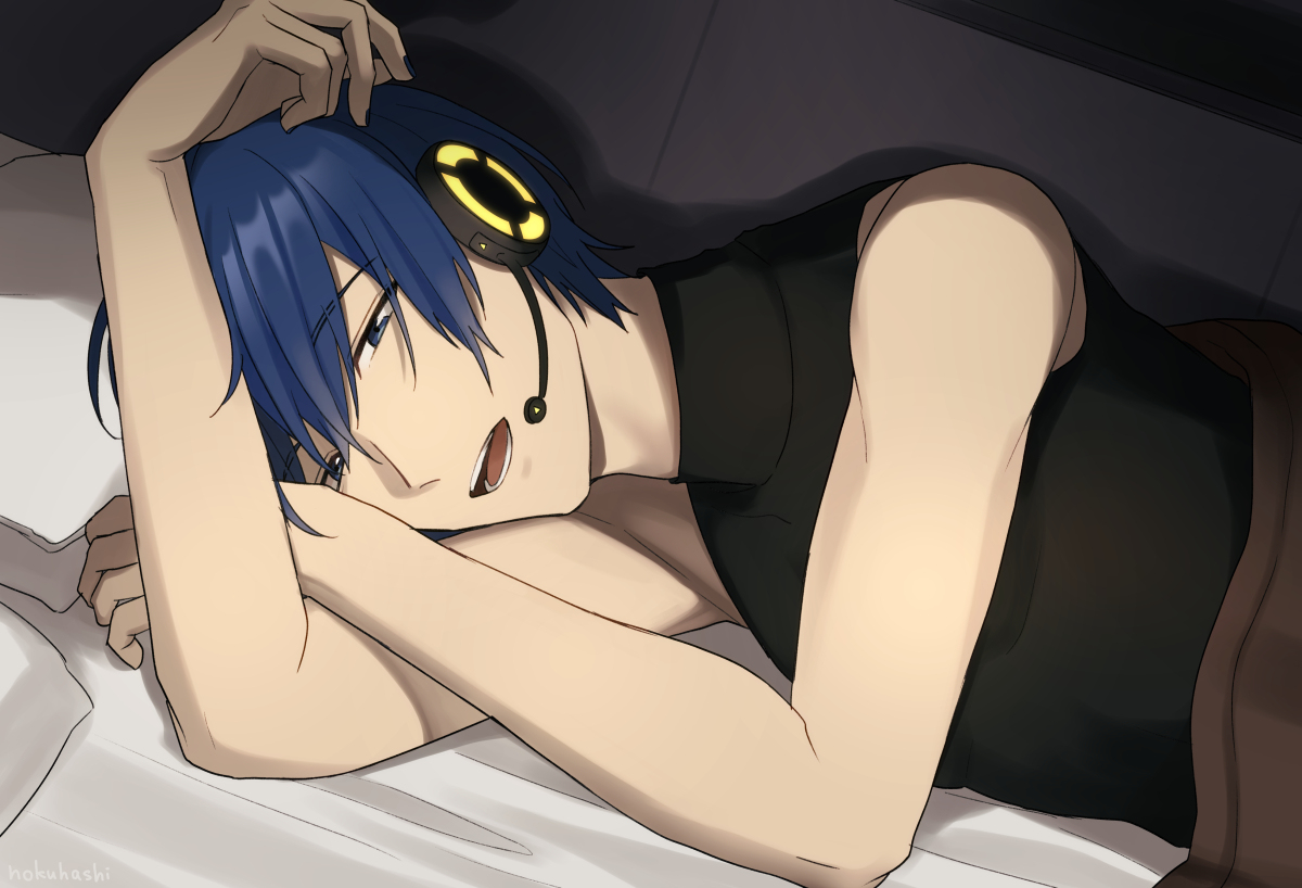 This is a pixiv picture whose title is 寝ころび.