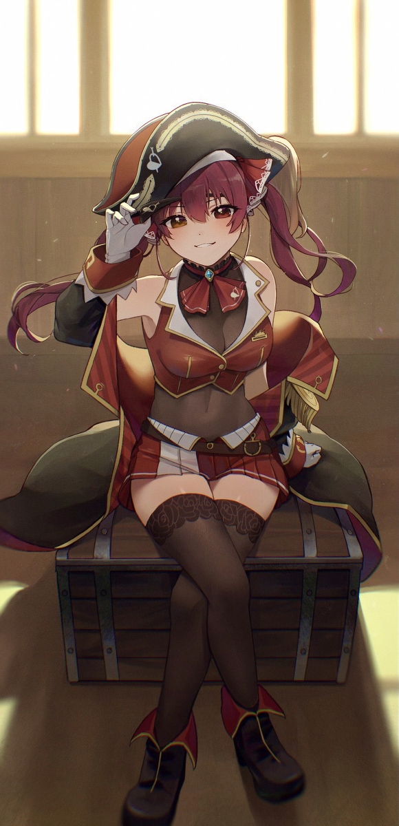 This is a pixiv picture whose title is 船長.