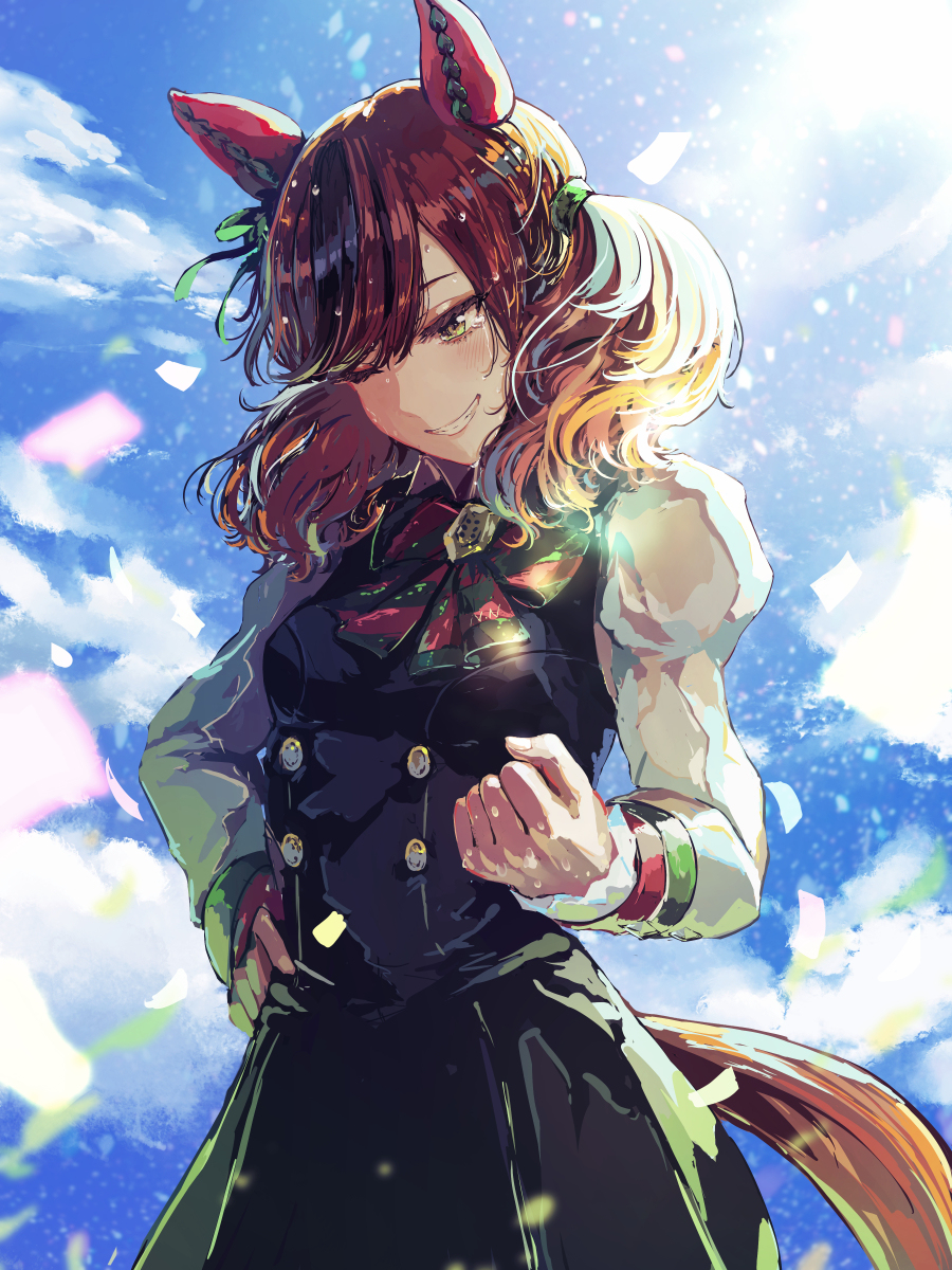 This is a pixiv picture whose title is ナイスネイチャ.