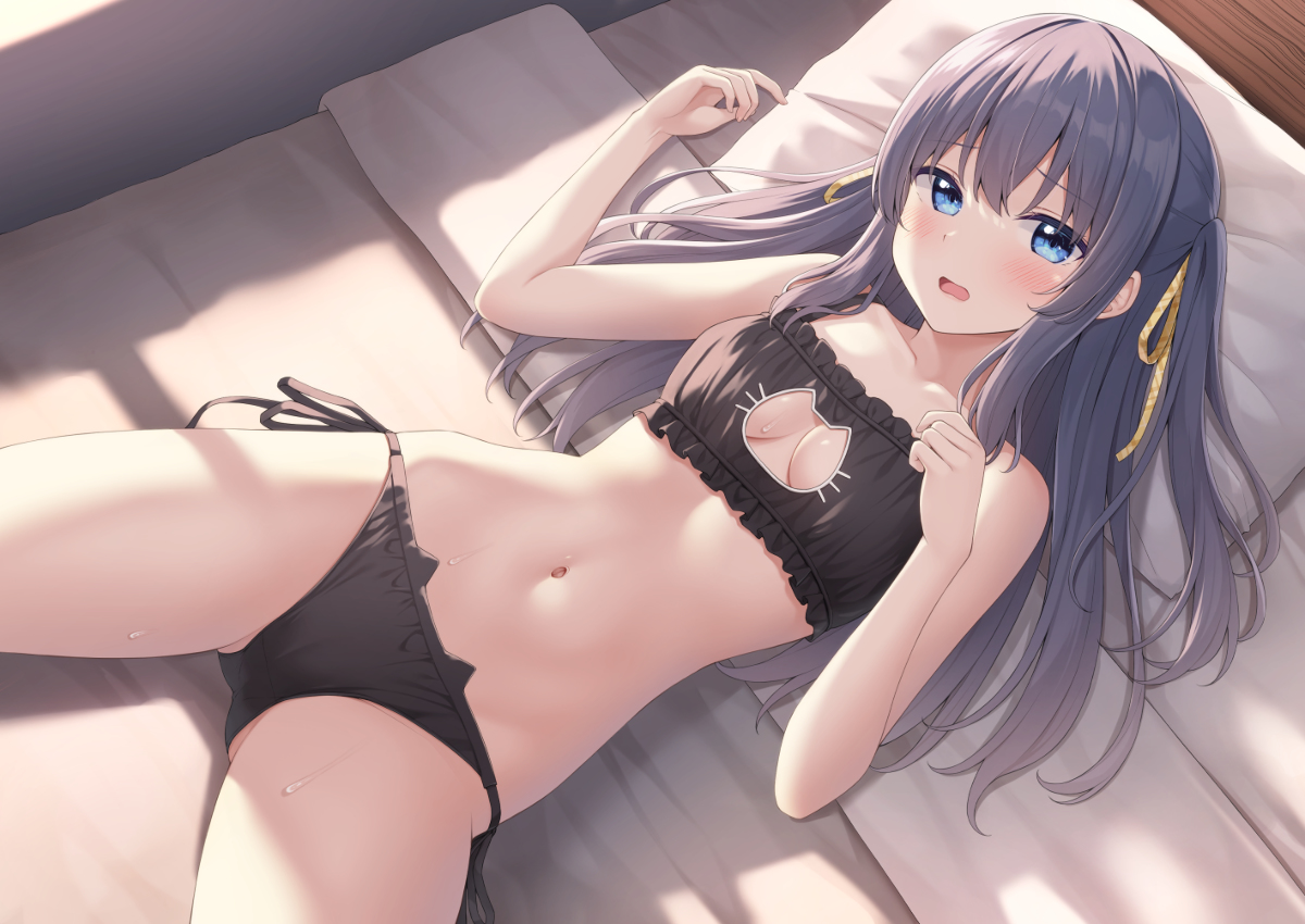 This is a pixiv picture whose title is らくがきちゃんに猫ランジェリー着せてみた.