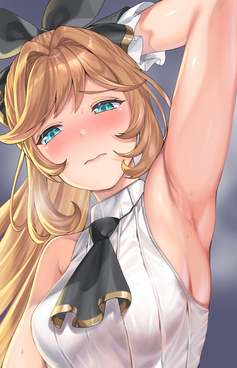 This is a pixiv picture whose title is グラブル腋見せ部　クラリス.