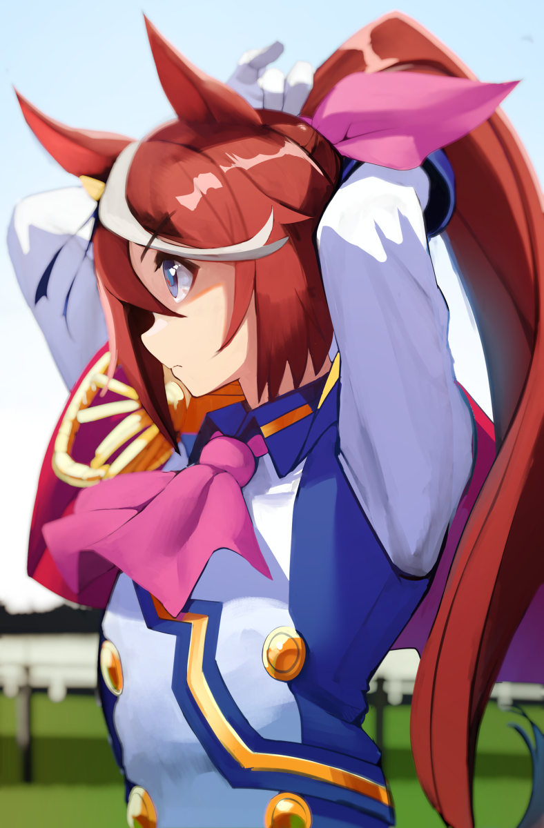 This is a pixiv picture whose title is 不屈の帝王.