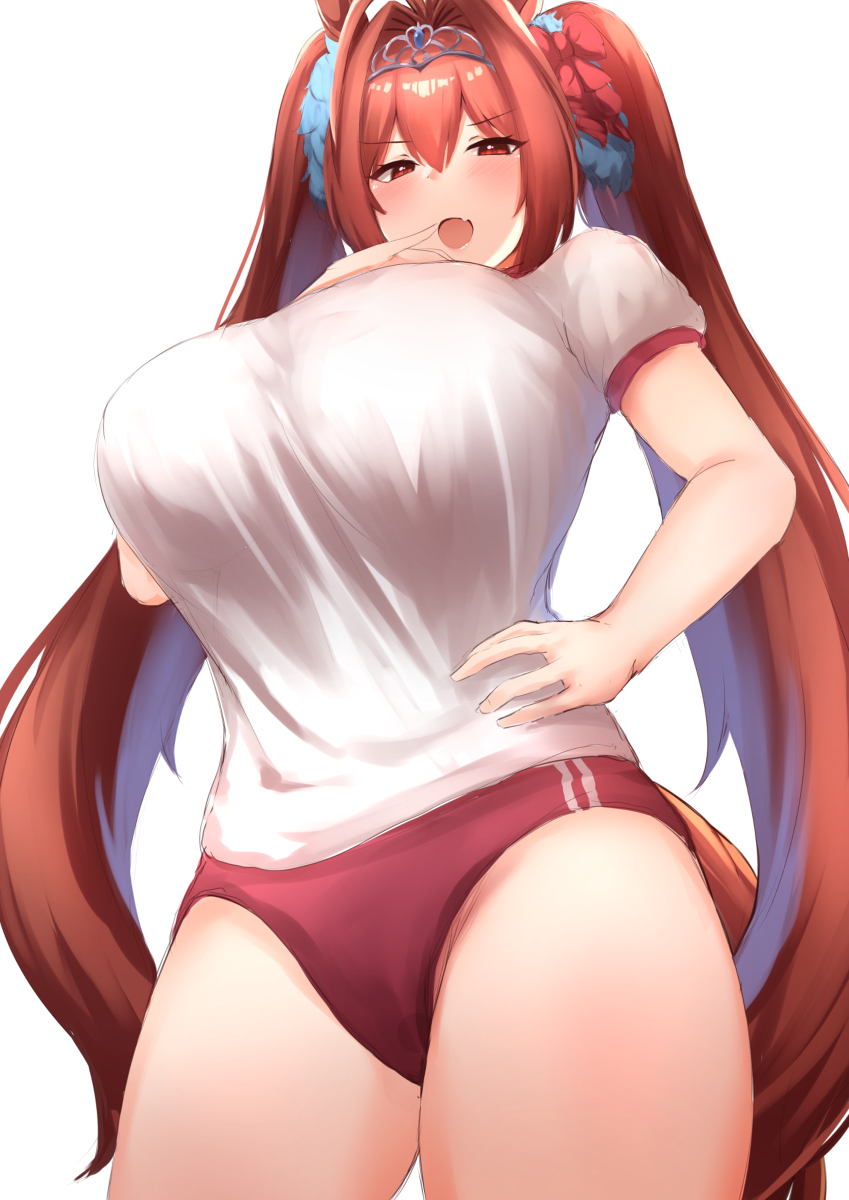 This is a pixiv picture whose title is ダイワスカーレット.