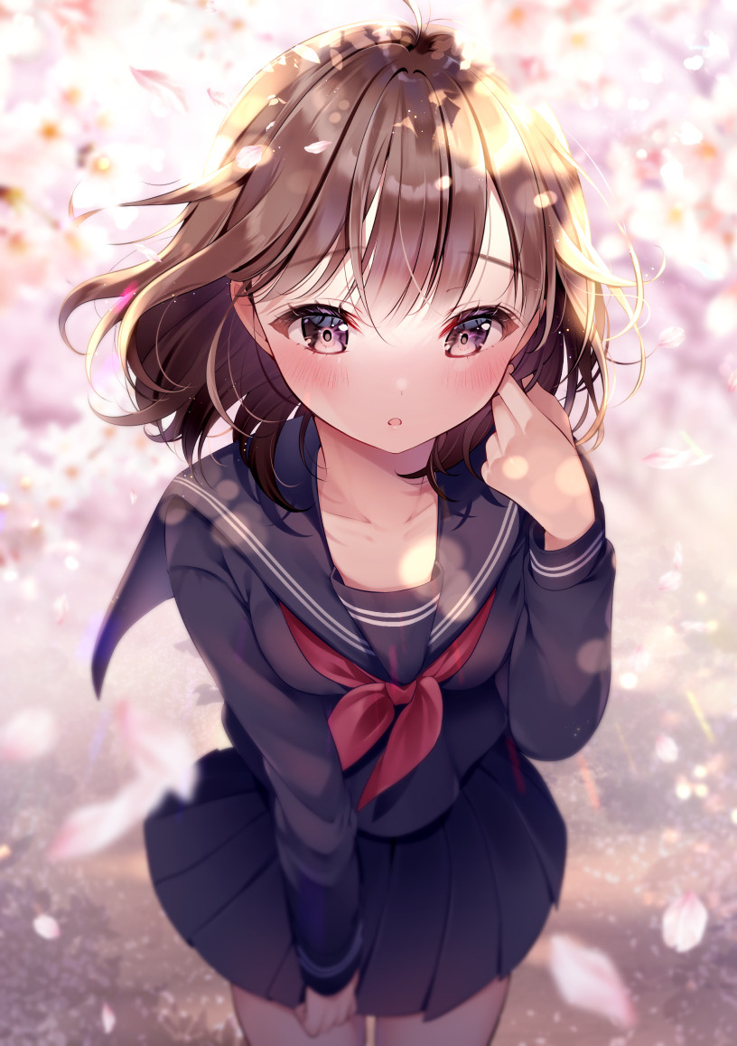 This is a pixiv picture whose title is あの、先輩.