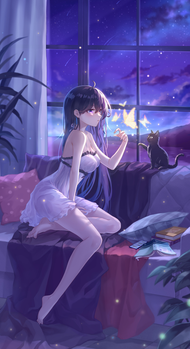 This is a pixiv picture whose title is 少女与猫.