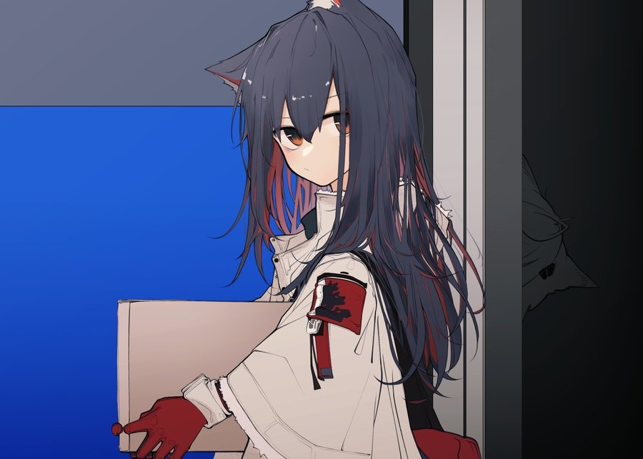 This is a pixiv picture whose title is texas.