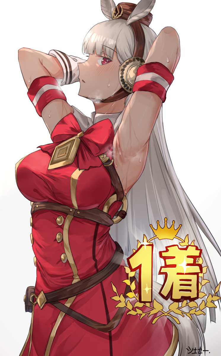 This is a pixiv picture whose title is ゴールドシップ.