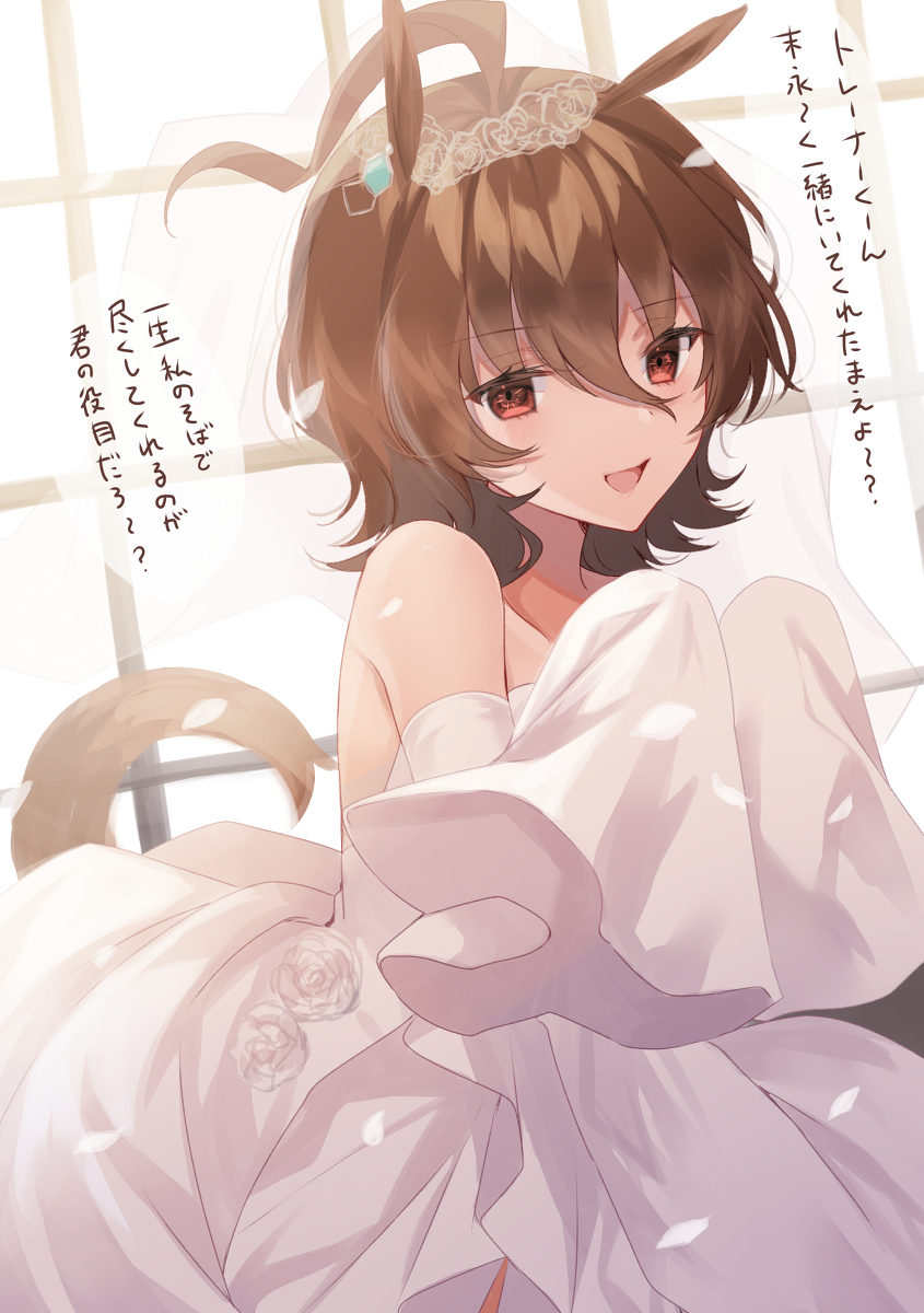 This is a pixiv picture whose title is 嫁タキオンさん.