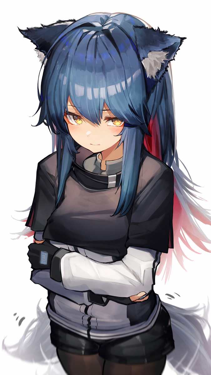 This is a pixiv picture whose title is テキサス.