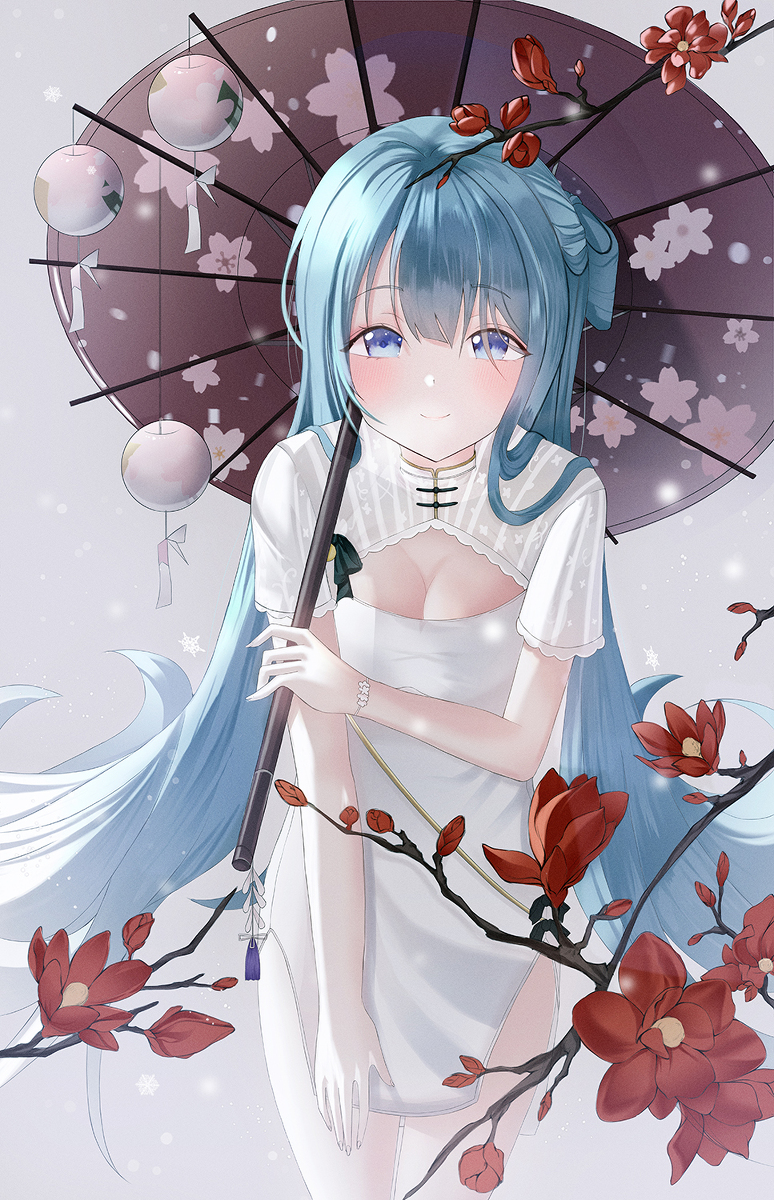 This is a pixiv picture whose title is 韶华.