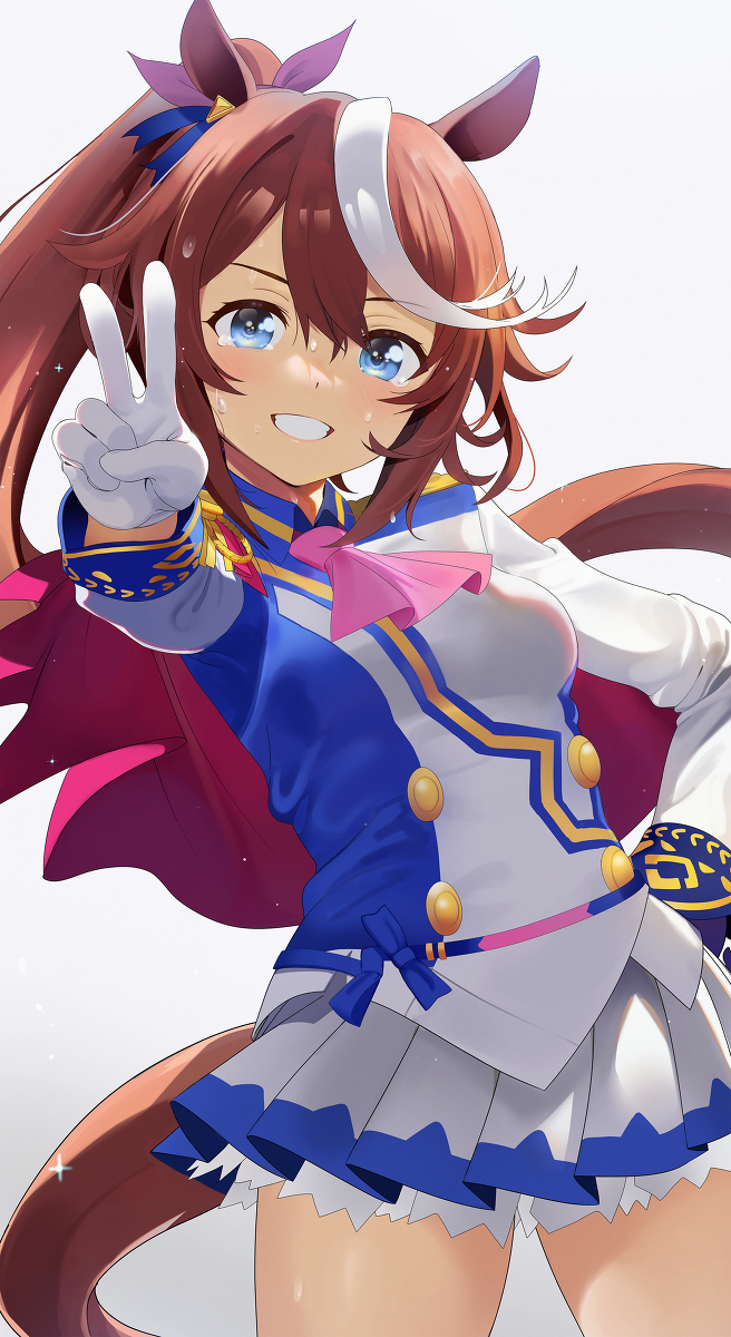This is a pixiv picture whose title is トウカイテイオー.