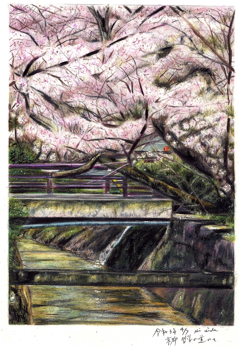 This is a pixiv picture whose title is 京都 哲学の道にて.