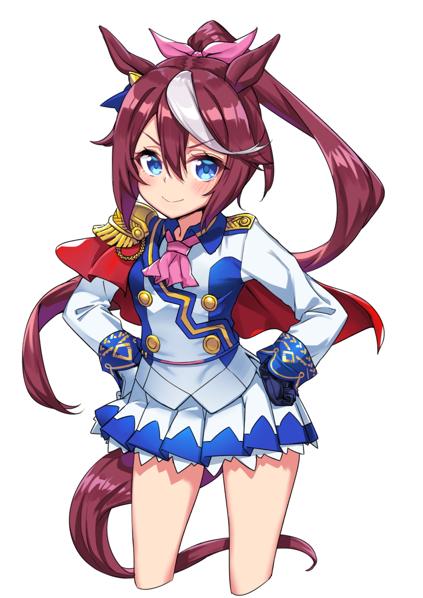 This is a pixiv picture whose title is トウカイテイオー.
