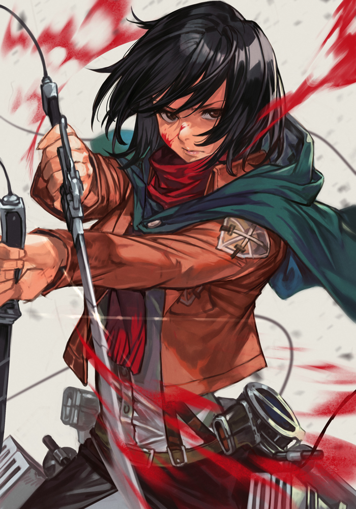 This is a pixiv picture whose title is mikasa.