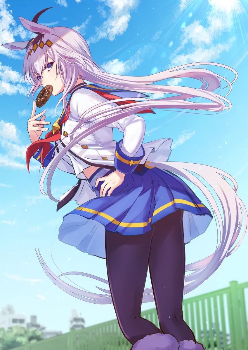 This is a pixiv picture whose title is オグリキャップ.