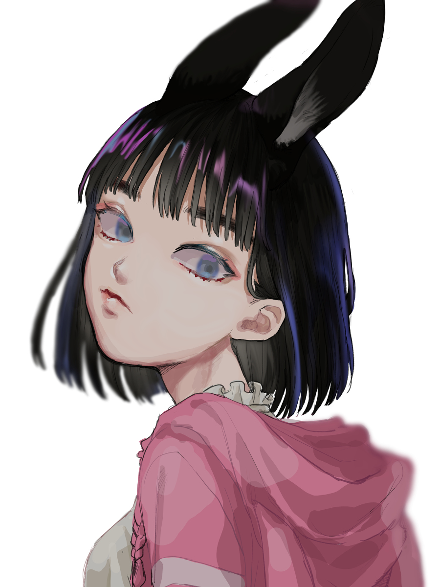 This is a pixiv picture whose title is フェン・ミン.
