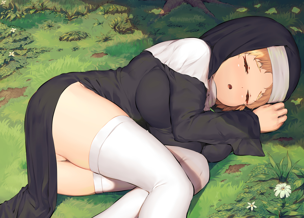 This is a pixiv picture whose title is 野原でお昼寝しているロリ巨乳シスターちゃんと.