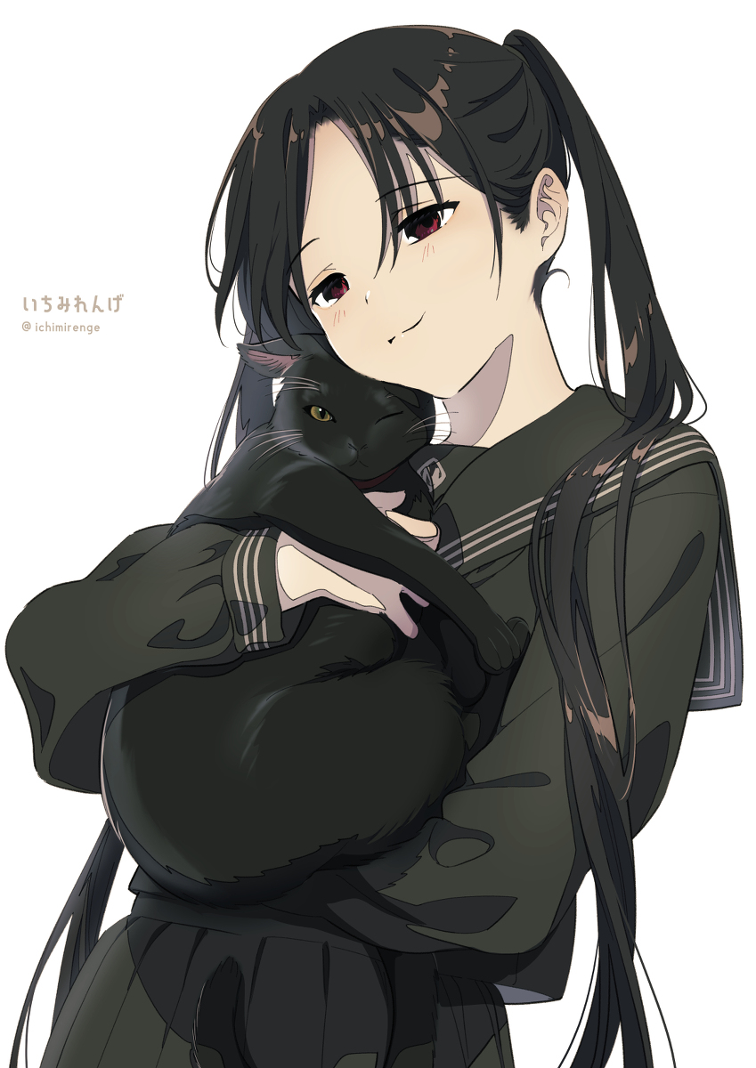 This is a pixiv picture whose title is 黒猫と黒セーラー少女🐈.