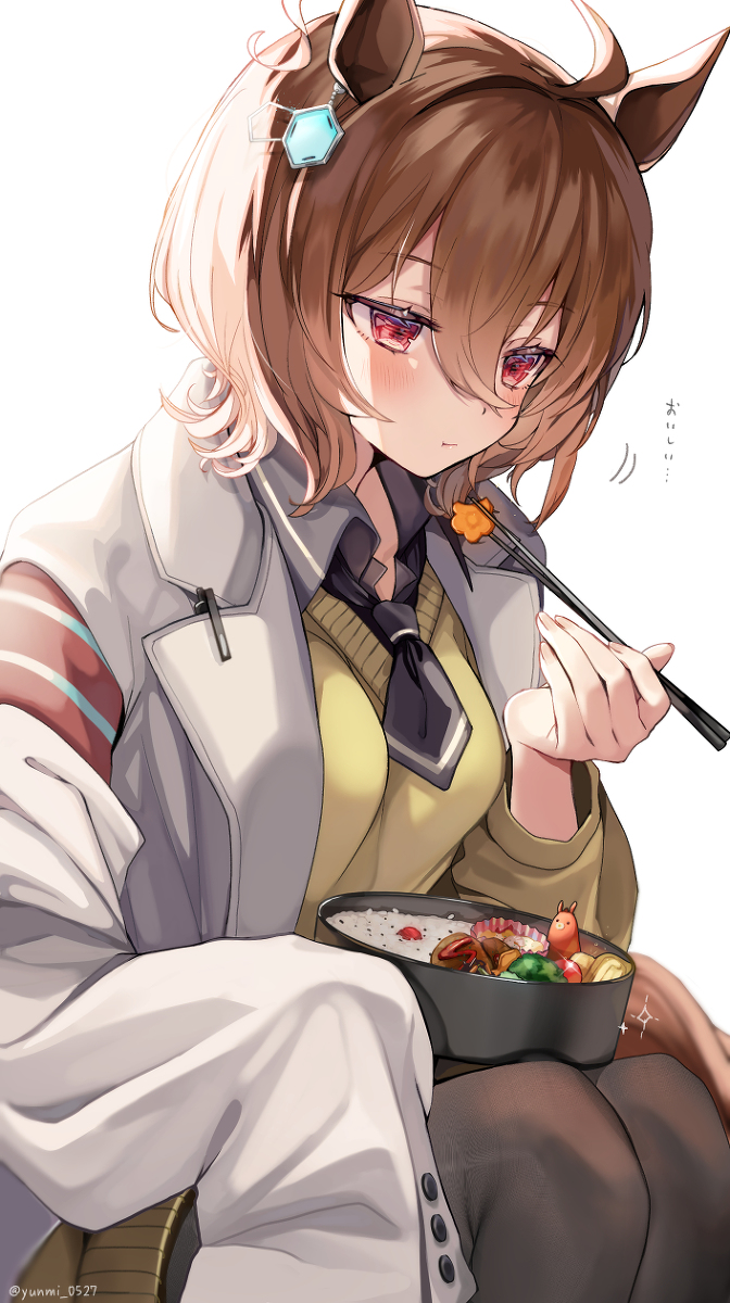 This is a pixiv picture whose title is 君の作ったお弁当.