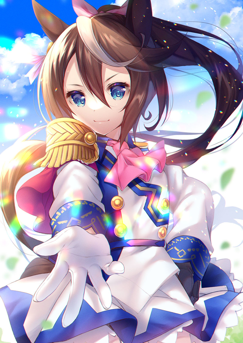 This is a pixiv picture whose title is トウカイテイオー.