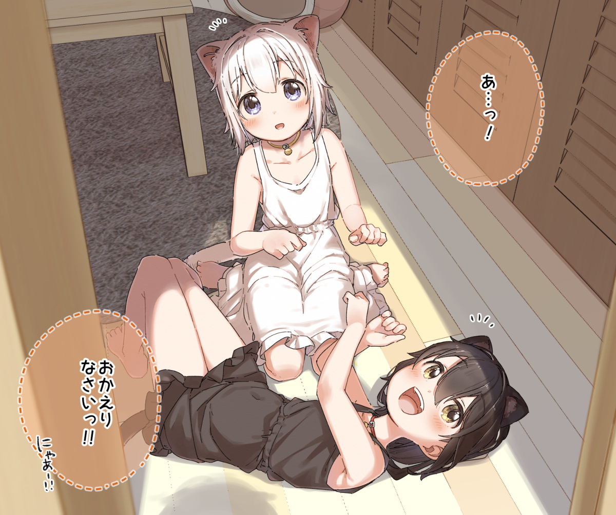 This is a pixiv picture whose title is しろくろねこ.