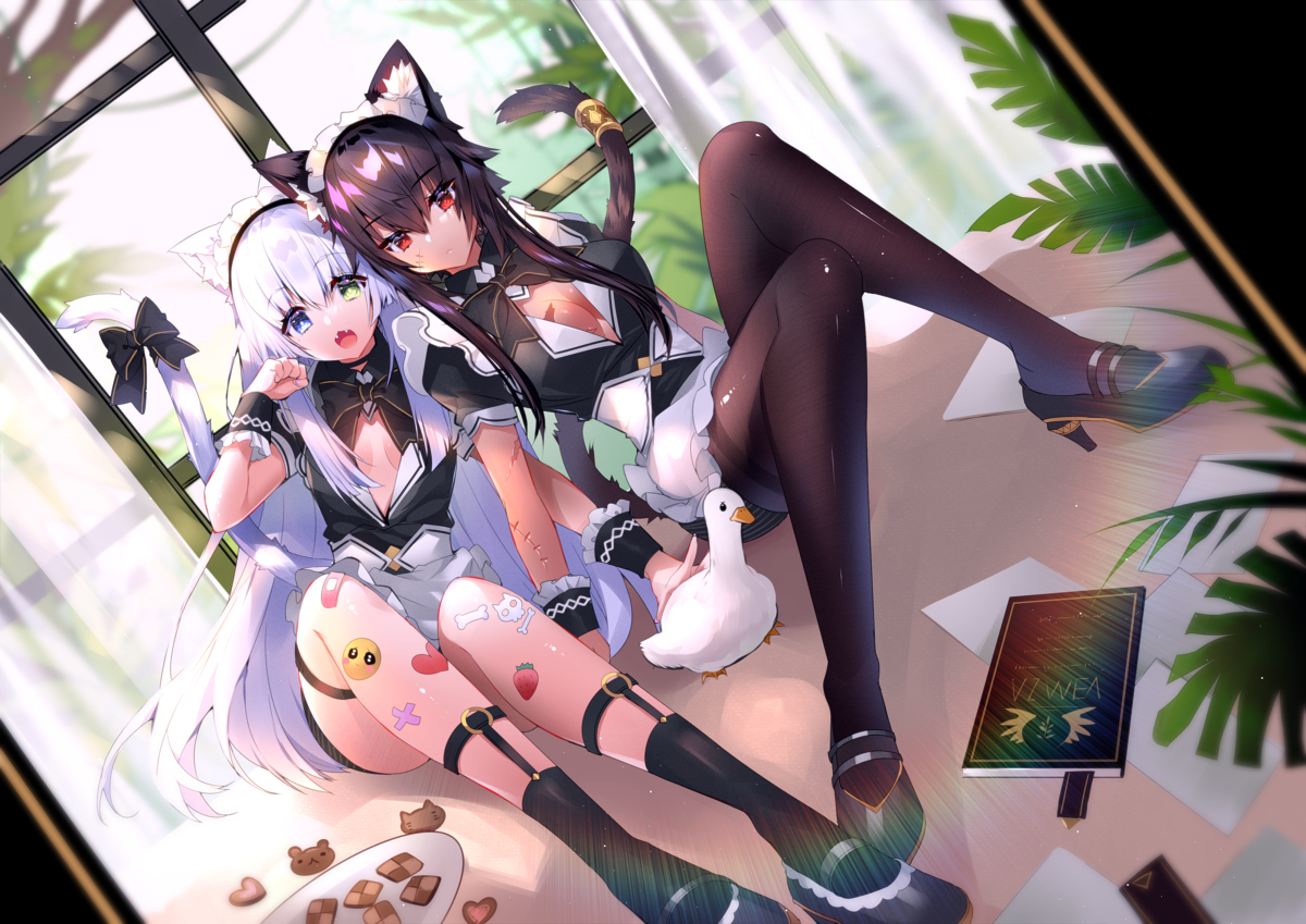 This is a pixiv picture whose title is 黑貓白貓.