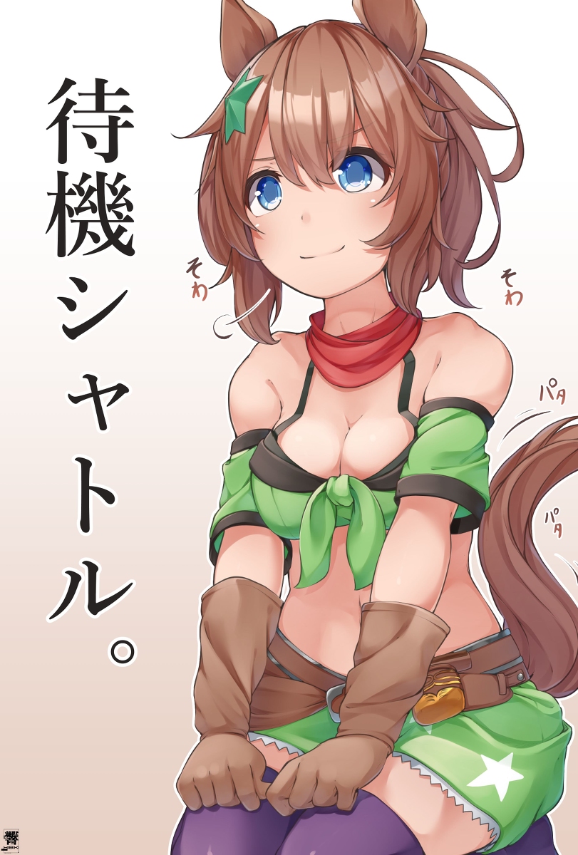 This is a pixiv picture whose title is じっとずっとただ待つタイキシャトル.