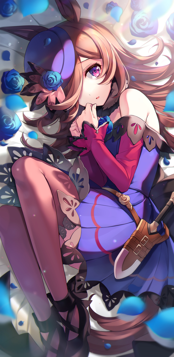 This is a pixiv picture whose title is ライスシャワー.