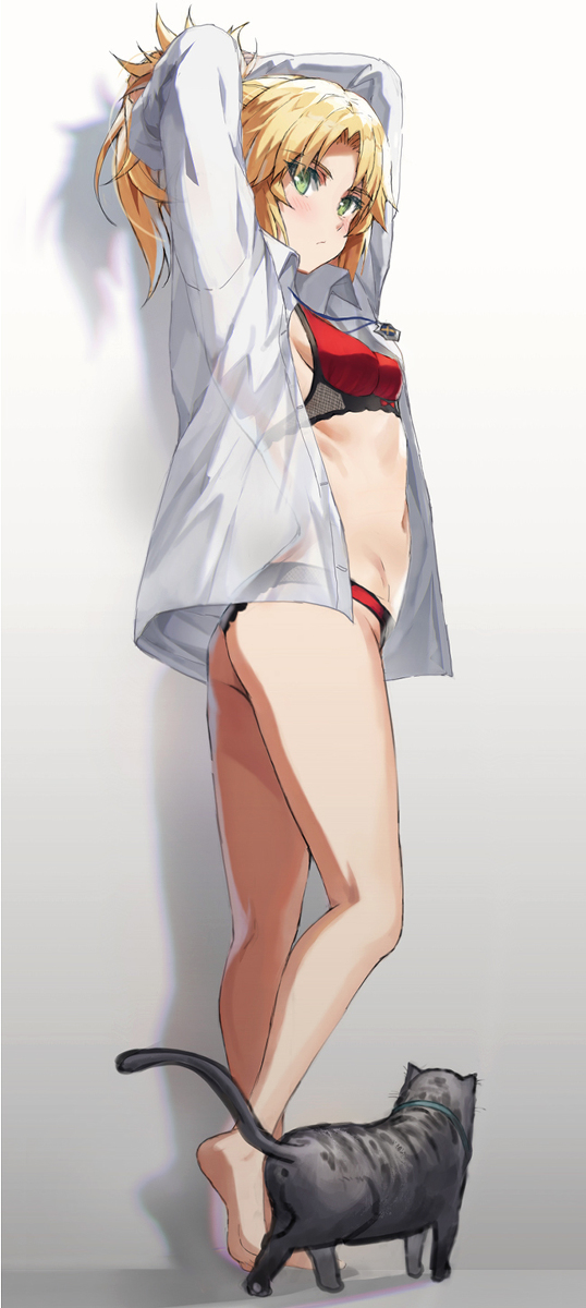 This is a pixiv picture whose title is 猫とモードレッド.