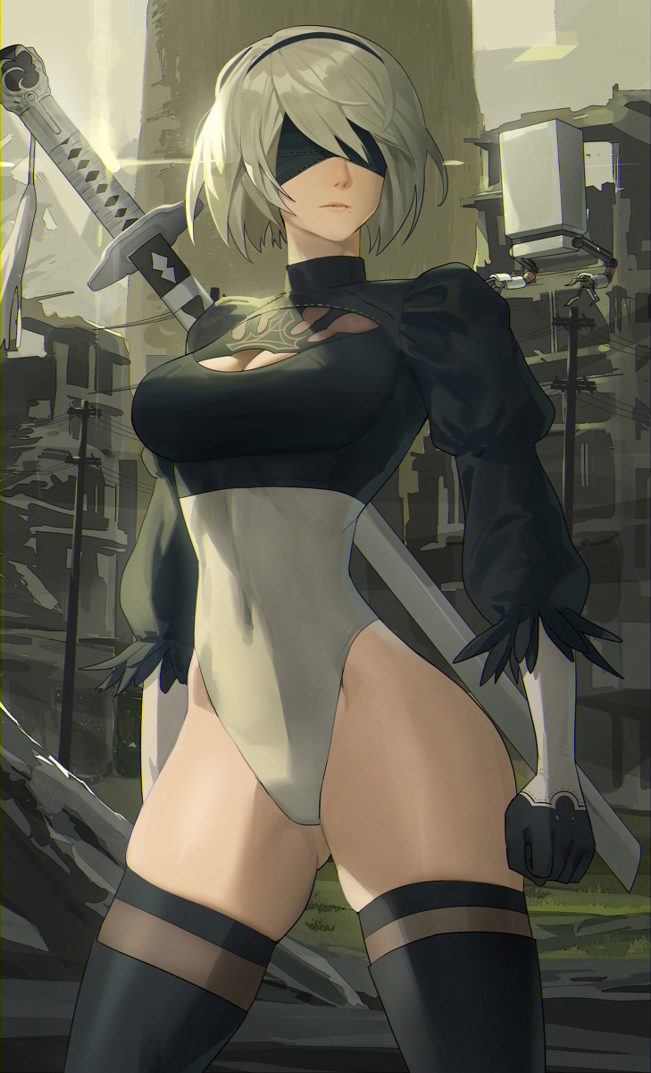 This is a pixiv picture whose title is 2B.