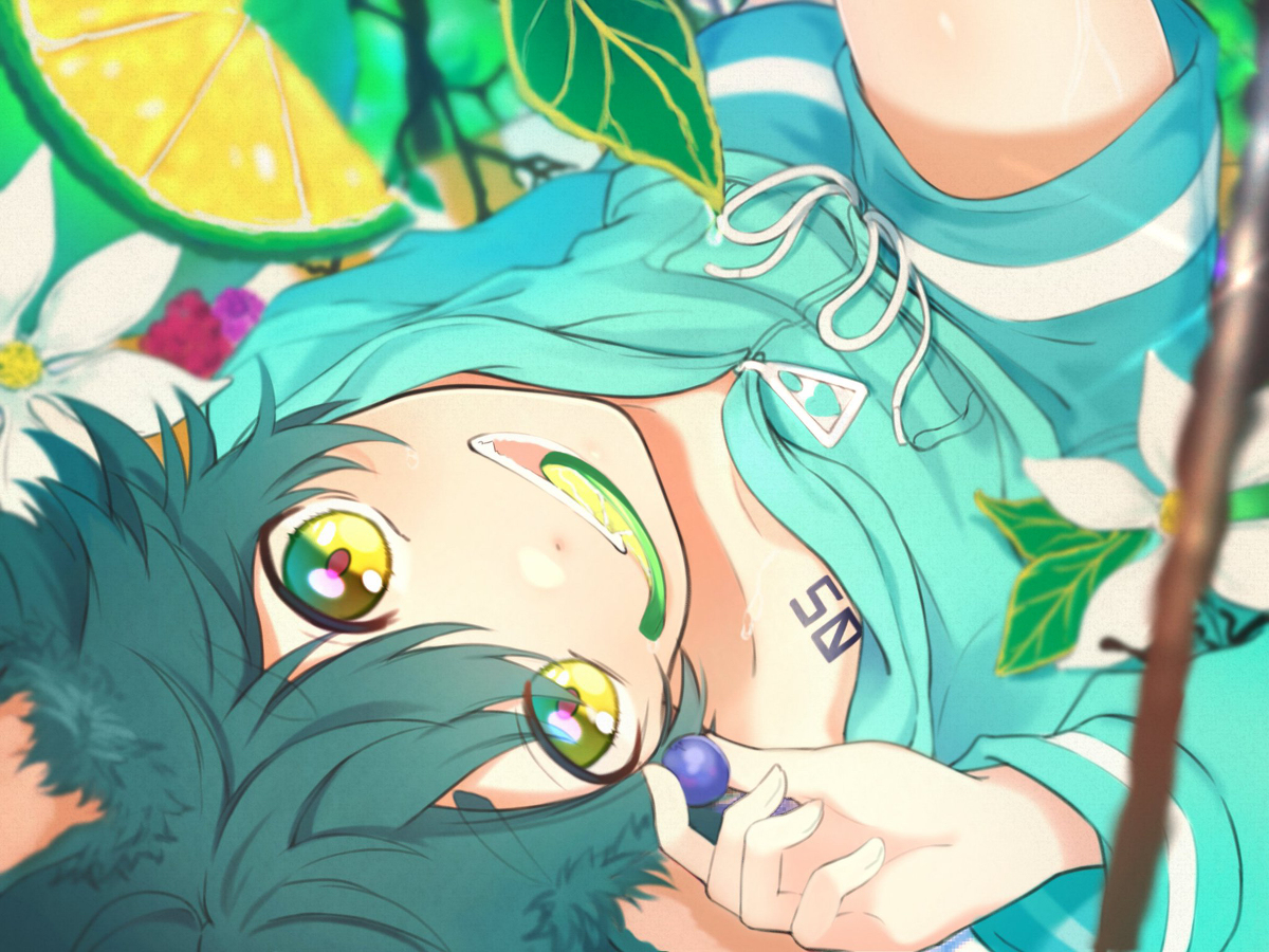 This is a pixiv picture whose title is 『ライム』.