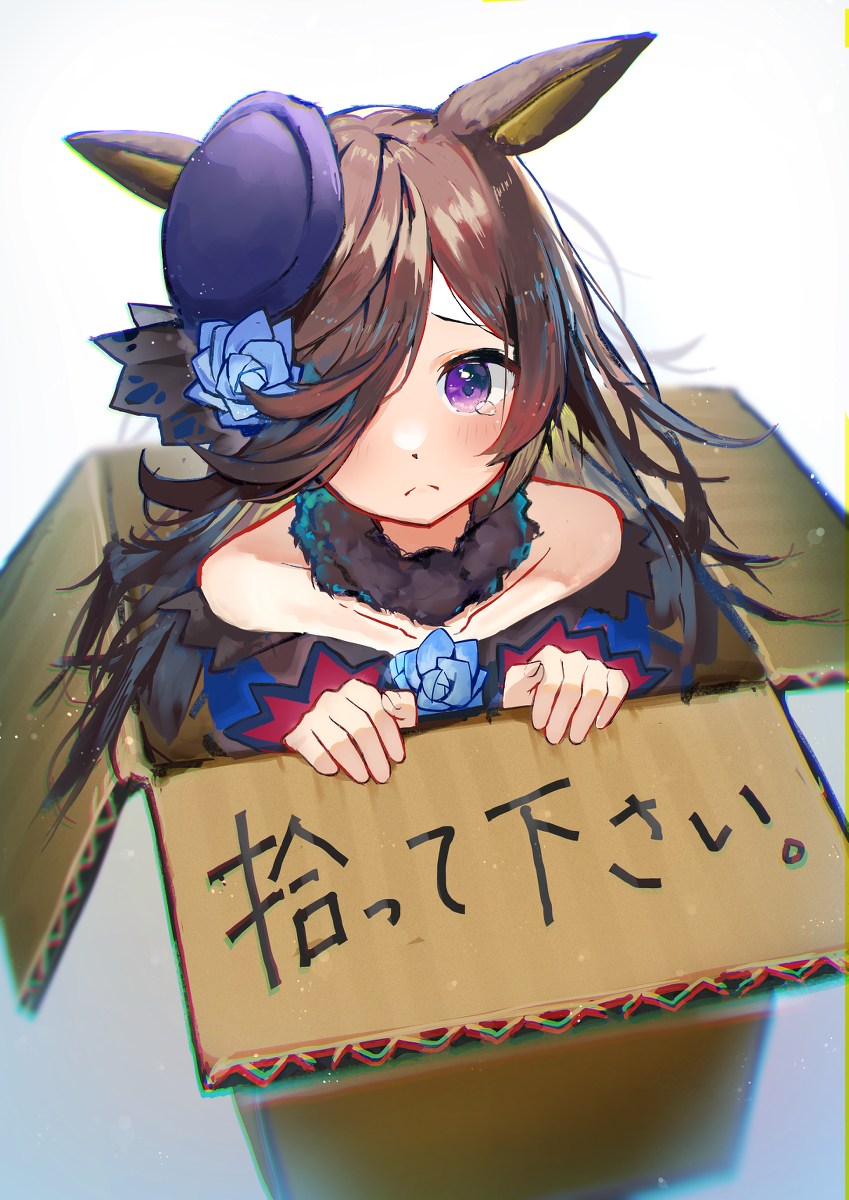 This is a pixiv picture whose title is ライスシャワーちゃん.