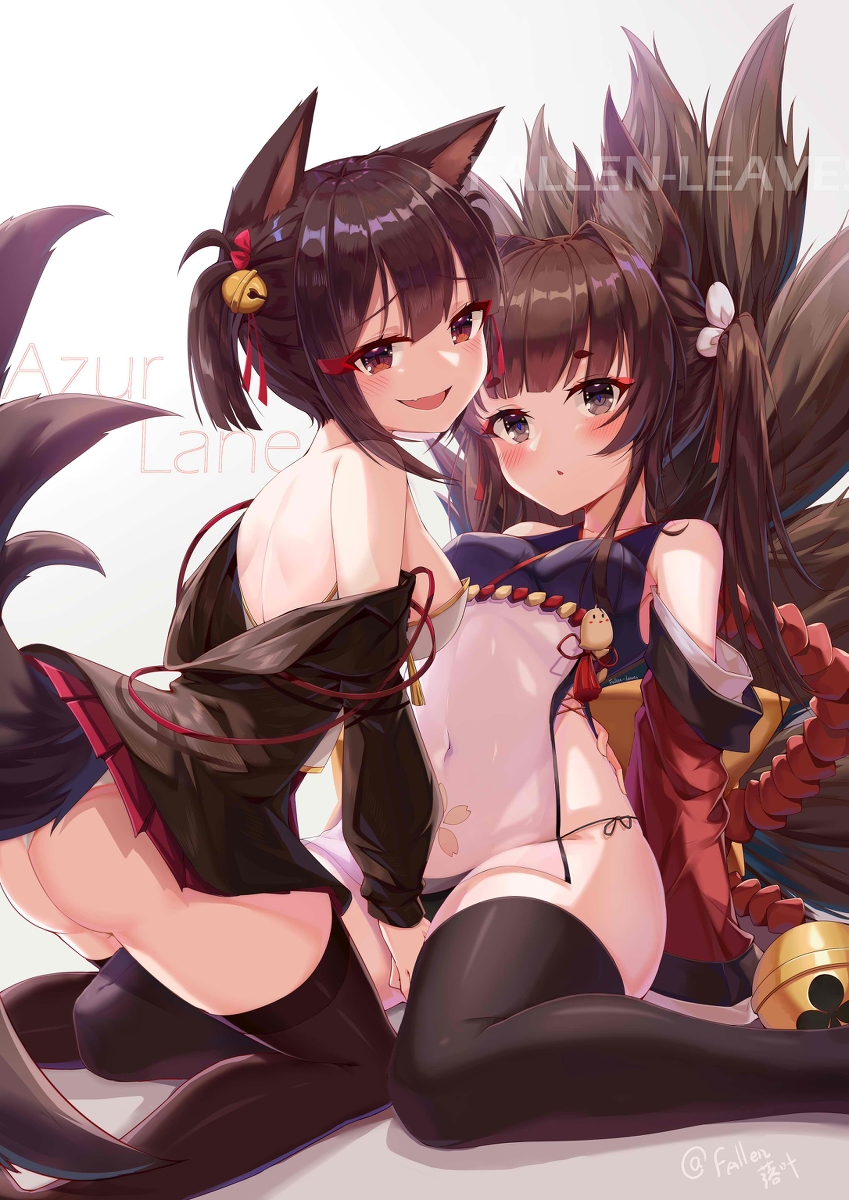 This is a pixiv picture whose title is 天城＆赤城.