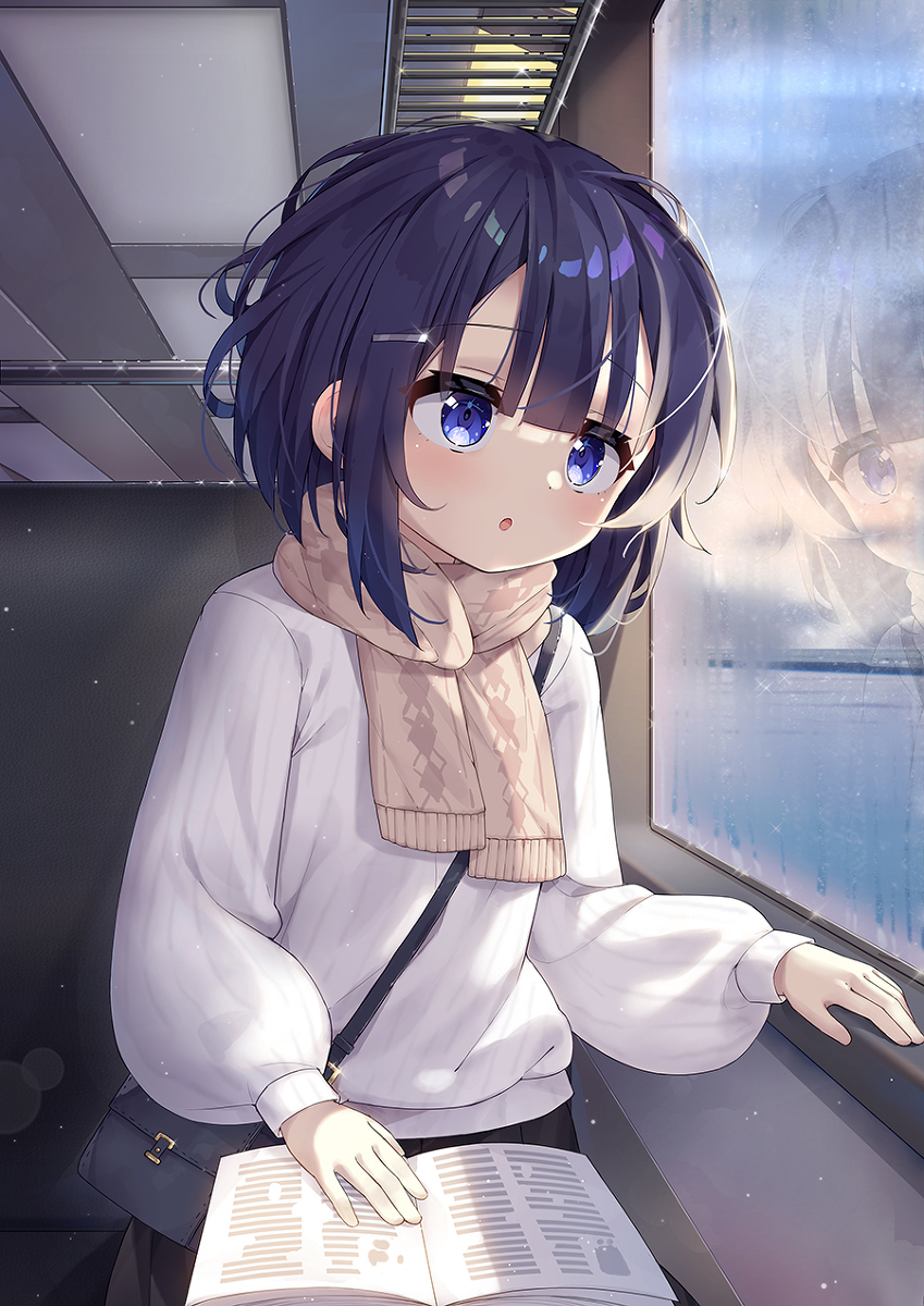 This is a pixiv picture whose title is 旅の途中（列車シーリズフユちゃん）.