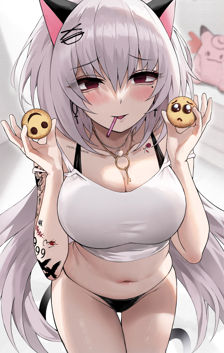 This is a pixiv picture whose title is Lo-Fi HAVOC.