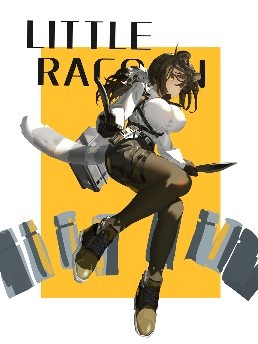 This is a pixiv picture whose title is racoon.