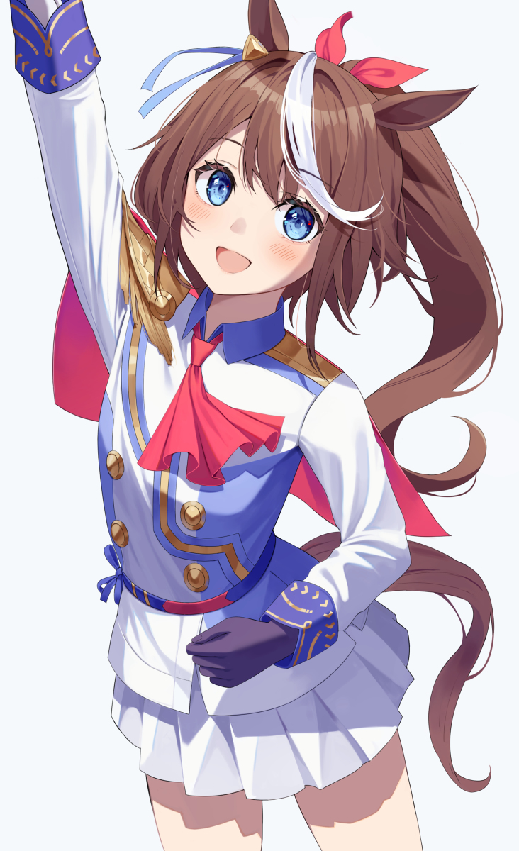 This is a pixiv picture whose title is トウカイテイオー.